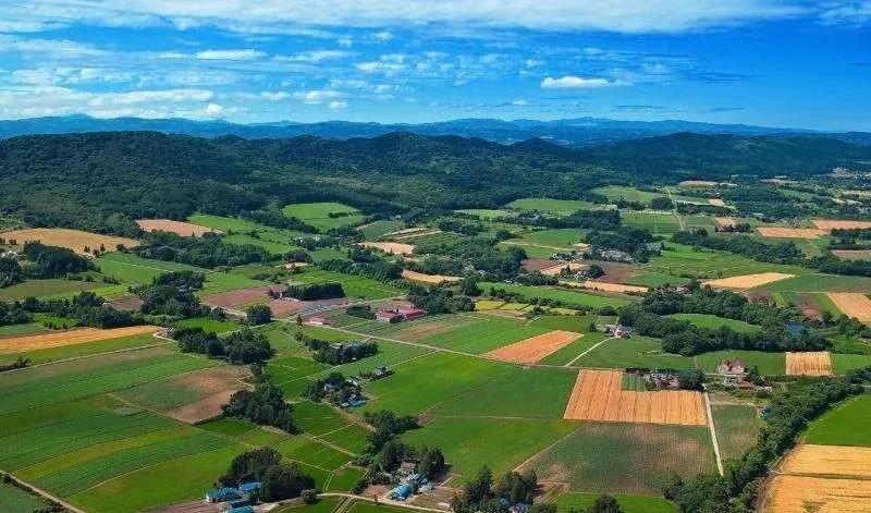 1601363180136126.jpg 微信圖片_20200929142330.jpg