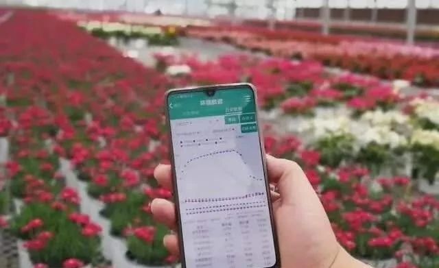 1601363276117777.jpg 微信圖片_20200929142948.jpg