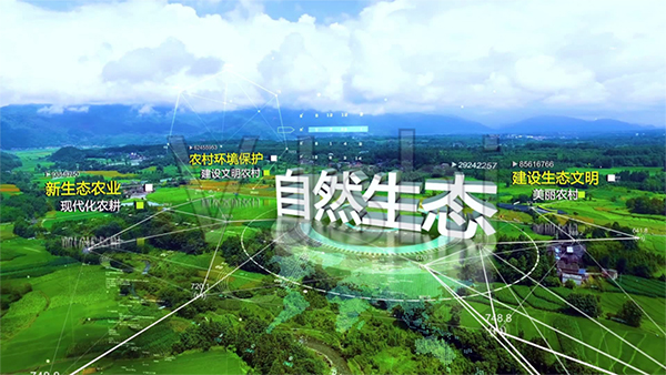 1604130584974712.jpg/ 800-800.jpg