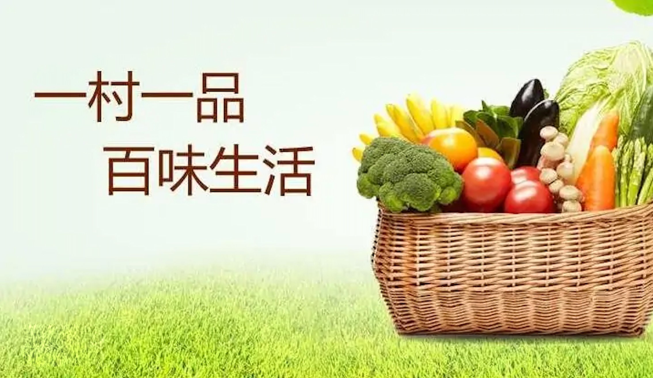 1625209753132365.jpg 1625209753132365.jpg